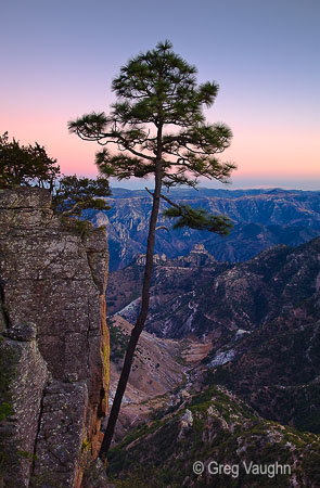 Copper Canyon near Barrancas, Chihuahua, Mexico