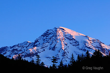 Mount Rainier from Longmire 