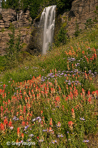 Crooked Creek Falls and Indian Paintbrush.