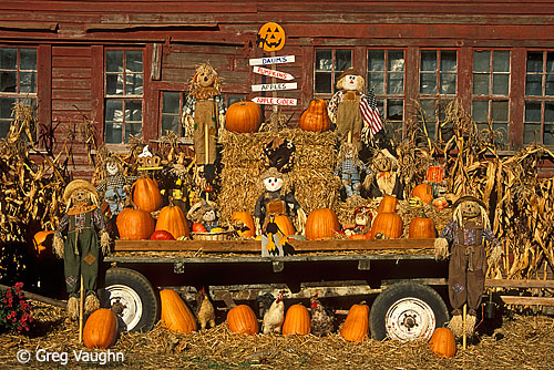 pumpkins at produce stand