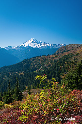 Mount Baker from Yellow Aster Butte Trail.