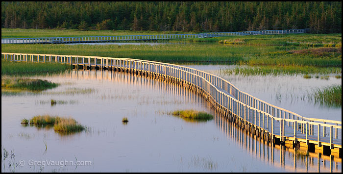 Wetlands boardwalk trail in Prince Edward Island National Park