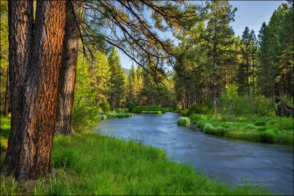 Metolius River, Deschutes National Forest, Central Oregon.