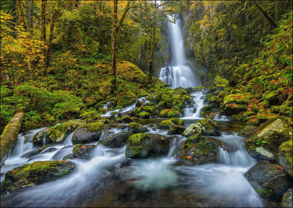 Lower Kentucky Falls; Coast Range Mountains, Oregon.