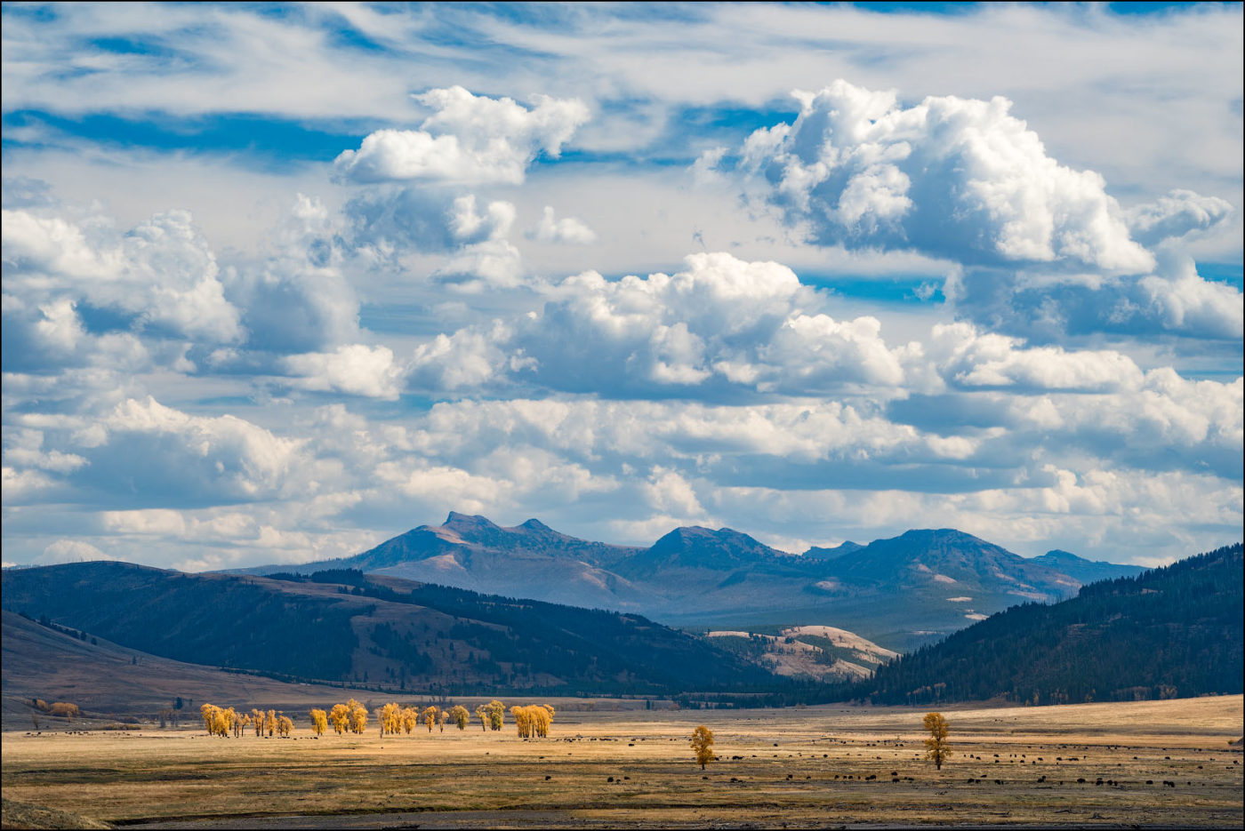 GV15090839-Lamar-Valley-Yellowstone - Wanders & Wonders