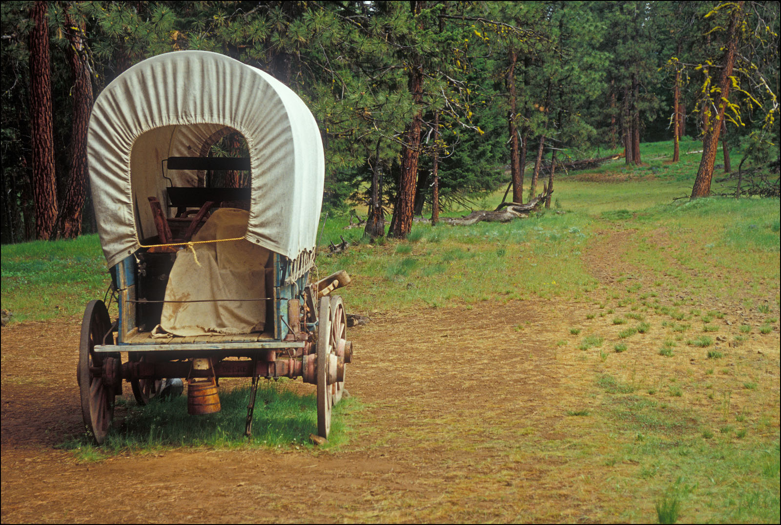 Covered wagon on old stage coach road at Oregon Trail Blue Mountain Crossing USFS interpretive site; eastern Oregon.