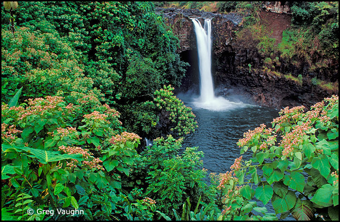 Rainbow Falls, Island of Hawaii - Wanders & Wonders