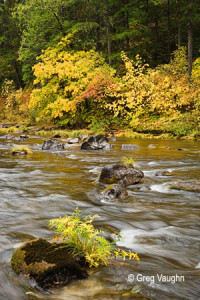 0610198 South- Umpqua -River-Fall - Wanders Wonders